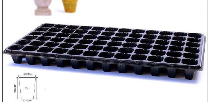 Green Seedling Tray Sweet Potato Seedling Capacity Vegetable Planting Plant Cutting Vegetable Tray