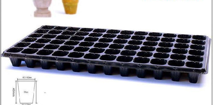 Green Seedling Tray Sweet Potato Seedling Capacity Vegetable Planting Plant Cutting Vegetable Tray