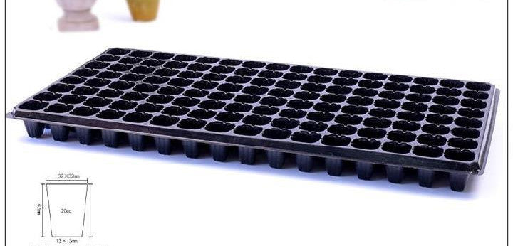 Green Seedling Tray Sweet Potato Seedling Capacity Vegetable Planting Plant Cutting Vegetable Tray