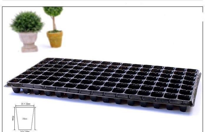 Green Seedling Tray Sweet Potato Seedling Capacity Vegetable Planting Plant Cutting Vegetable Tray