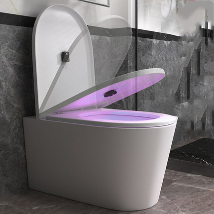 Stérilisateur à induction intelligent pour toilettes domestiques - Affordable Techs