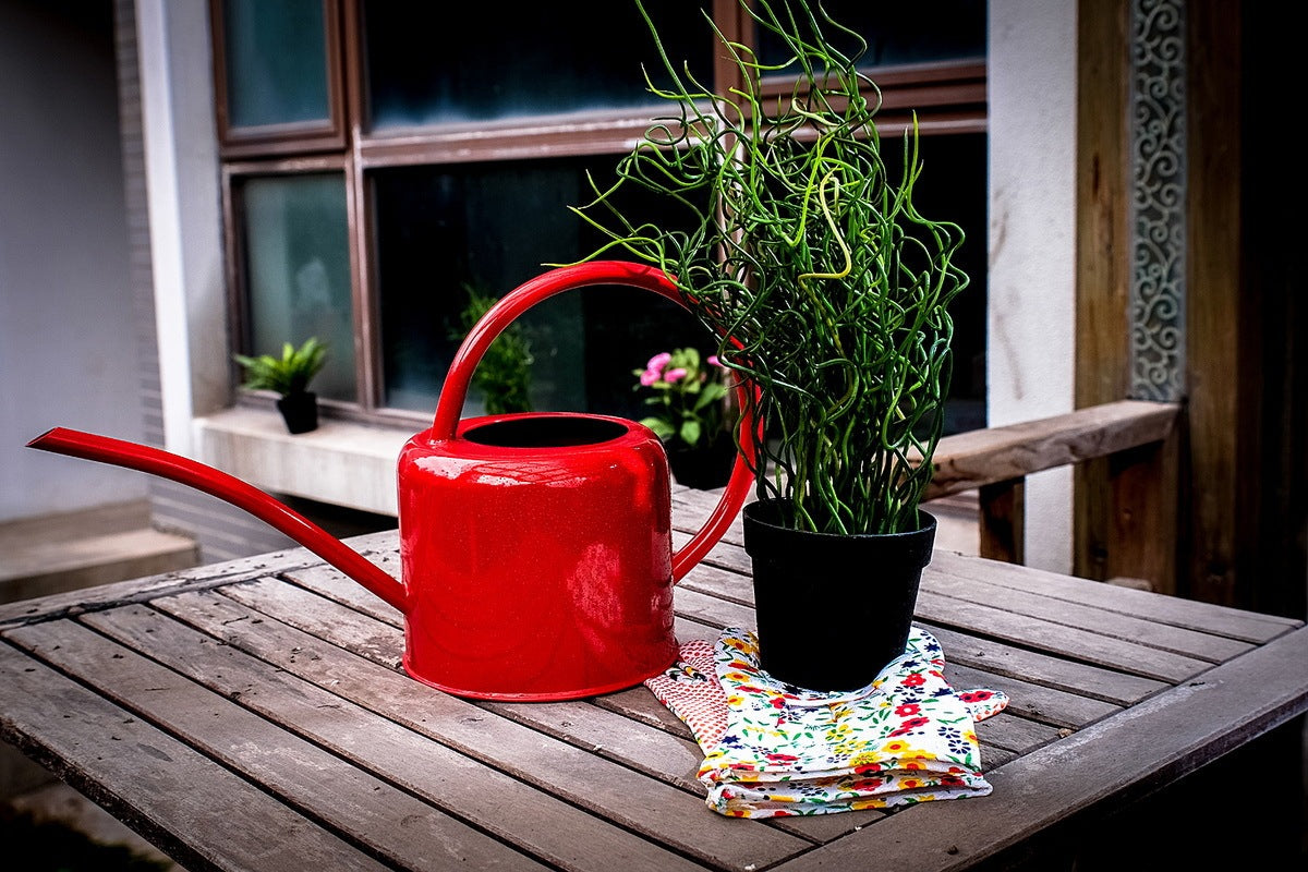 Arrosoir en tôle d'acier pour arrosoir de jardinage, verdissement du jardin potager, bouilloire de grande capacité