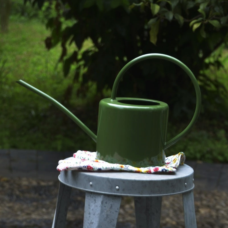 Arrosoir en tôle d'acier pour arrosoir de jardinage, verdissement du jardin potager, bouilloire de grande capacité